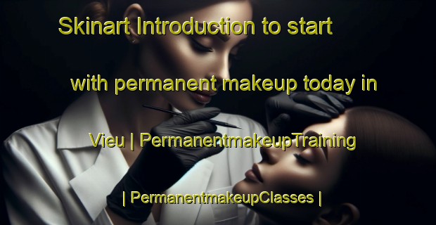 Skinart Introduction to start with permanent makeup today in Vieu | PermanentmakeupTraining | PermanentmakeupClasses | SkinartTraining-France